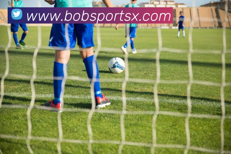 BOB体育APP 封面图